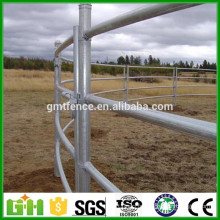 Chine Wholesale Best Price galvanisé lourd des panneaux de bétail usés, des panneaux de clôture à cheval